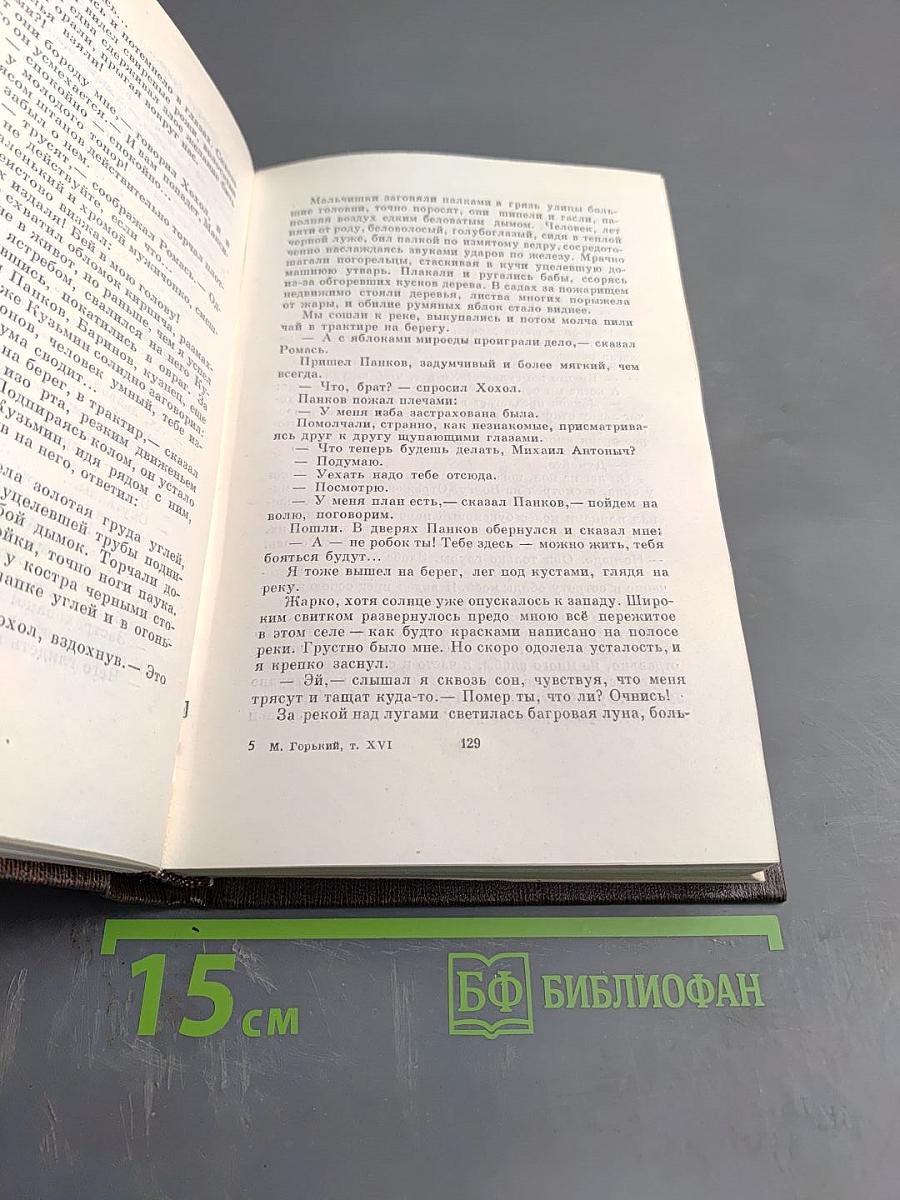 Собрание сочинений. Том шестнадцатый: Повесть, рассказы, очерки, стихи 1917-1924