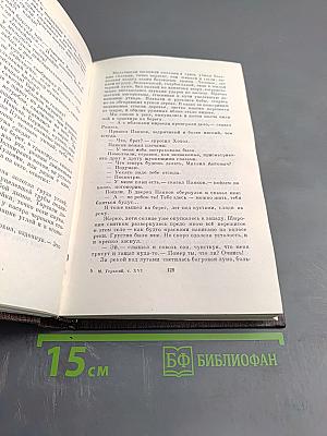 Собрание сочинений. Том шестнадцатый: Повесть, рассказы, очерки, стихи 1917-1924