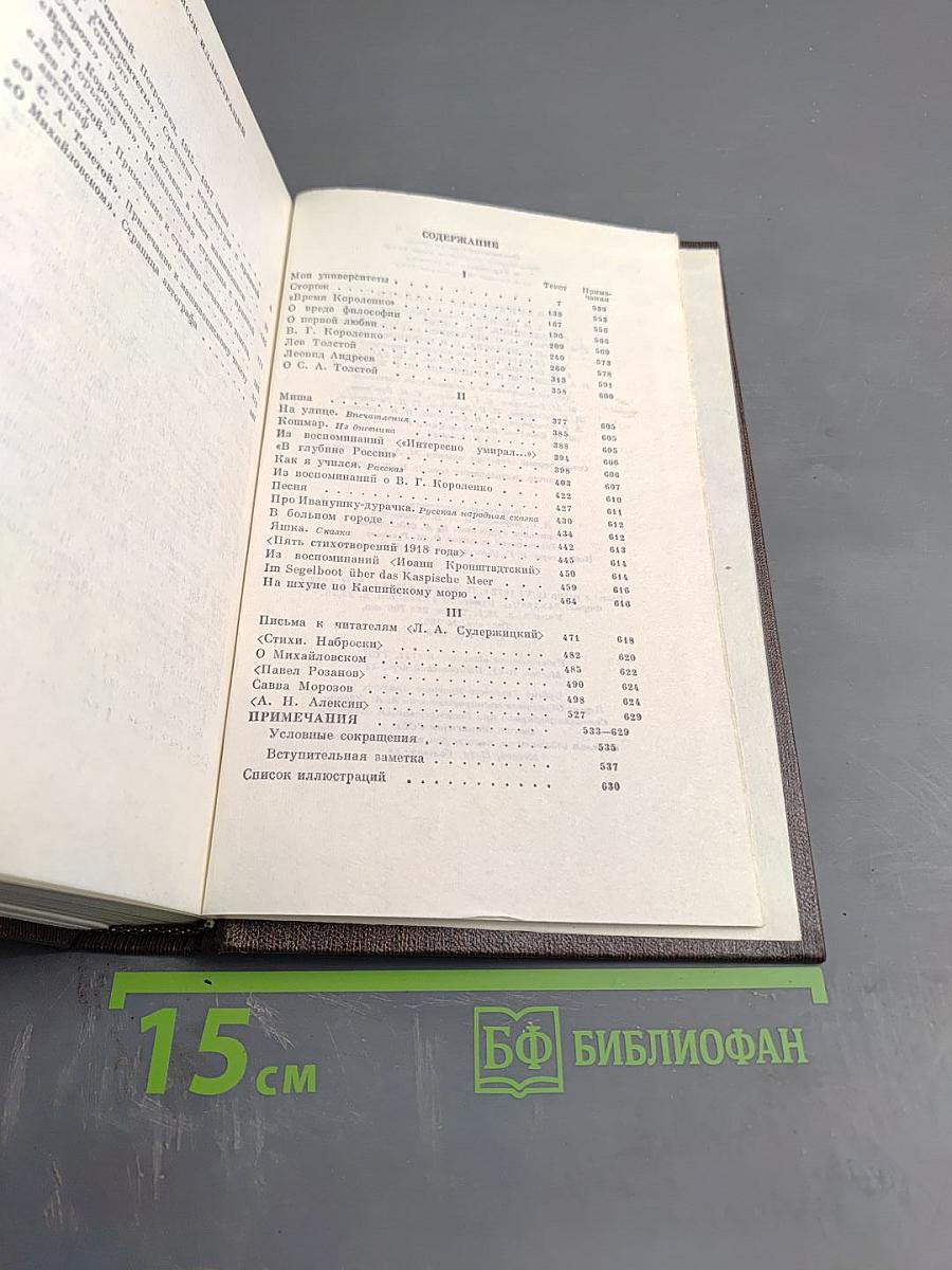 Собрание сочинений. Том шестнадцатый: Повесть, рассказы, очерки, стихи 1917-1924