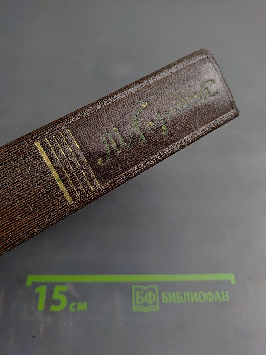 Собрание сочинений. Том шестнадцатый: Повесть, рассказы, очерки, стихи 1917-1924