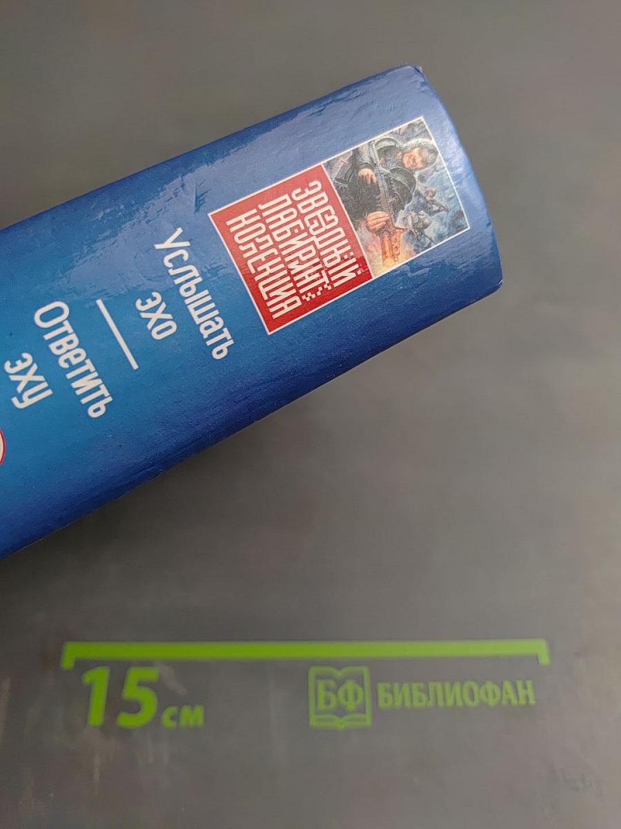 Услышать эхо. Ответить эху