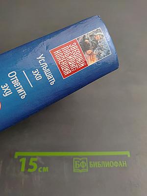 Услышать эхо. Ответить эху