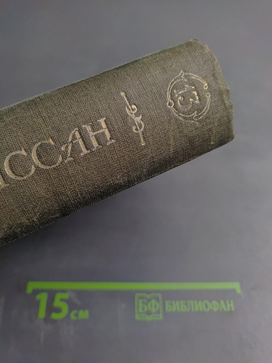 Ги де Мопассан. Полное собрание сочинений. Том XIII: Статьи и очерки. Неизданные стихи. Переписка