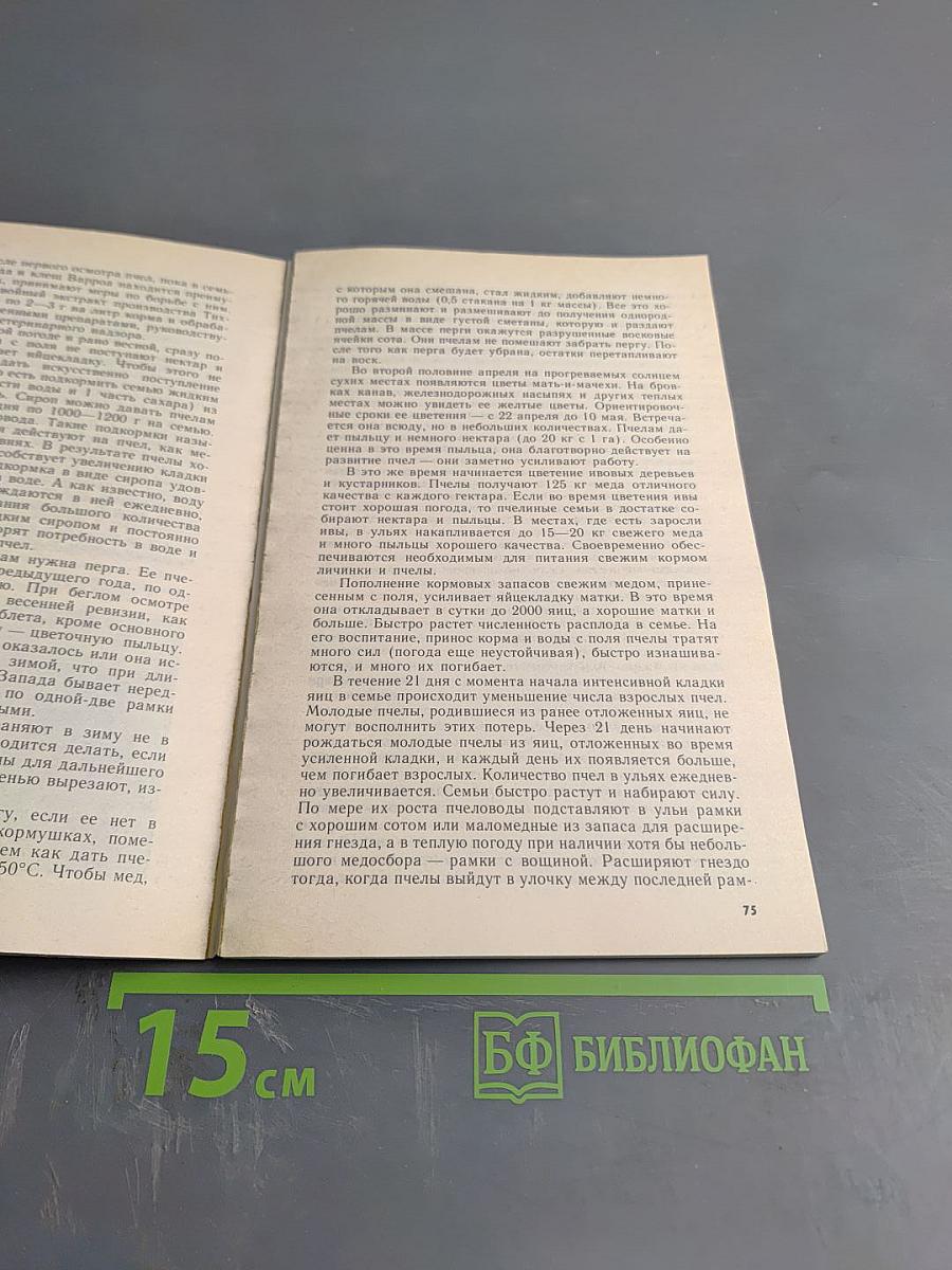 Пчёлы: мёд и другие продукты