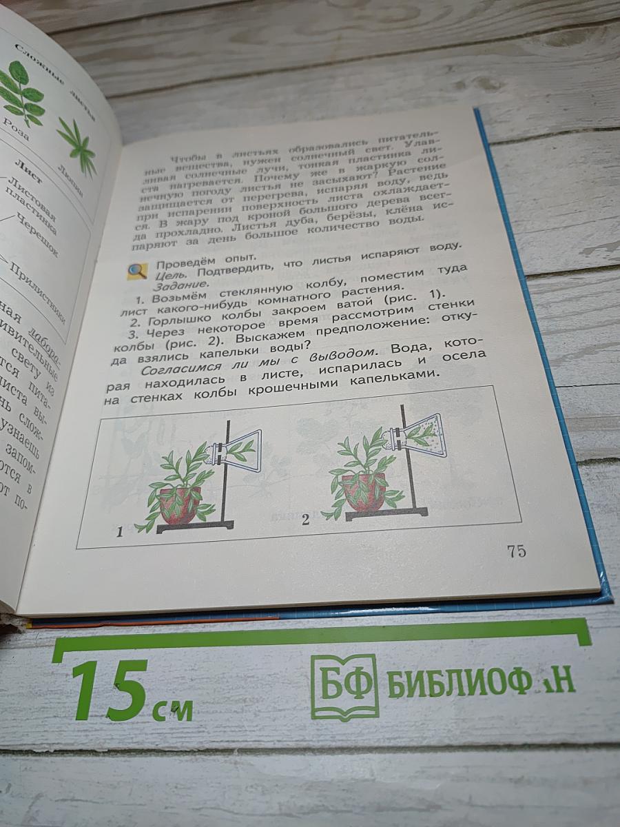 Окружающий мир. 3 класс. Часть первая