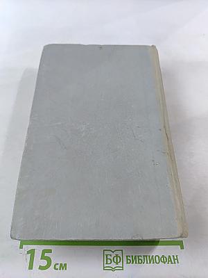 Виконт де Бражелон или Десять лет спустя. Часть 1