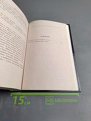 Гончаров и похитители