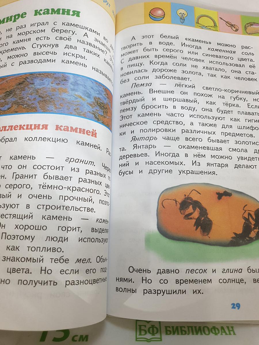 Окружающий мир 2 класс Часть 2