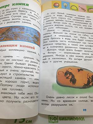 Окружающий мир 2 класс Часть 2