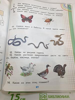 Окружающий мир 2 класс Часть 2