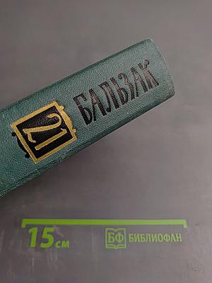 Философские этюды. Озорные рассказы. Том 2