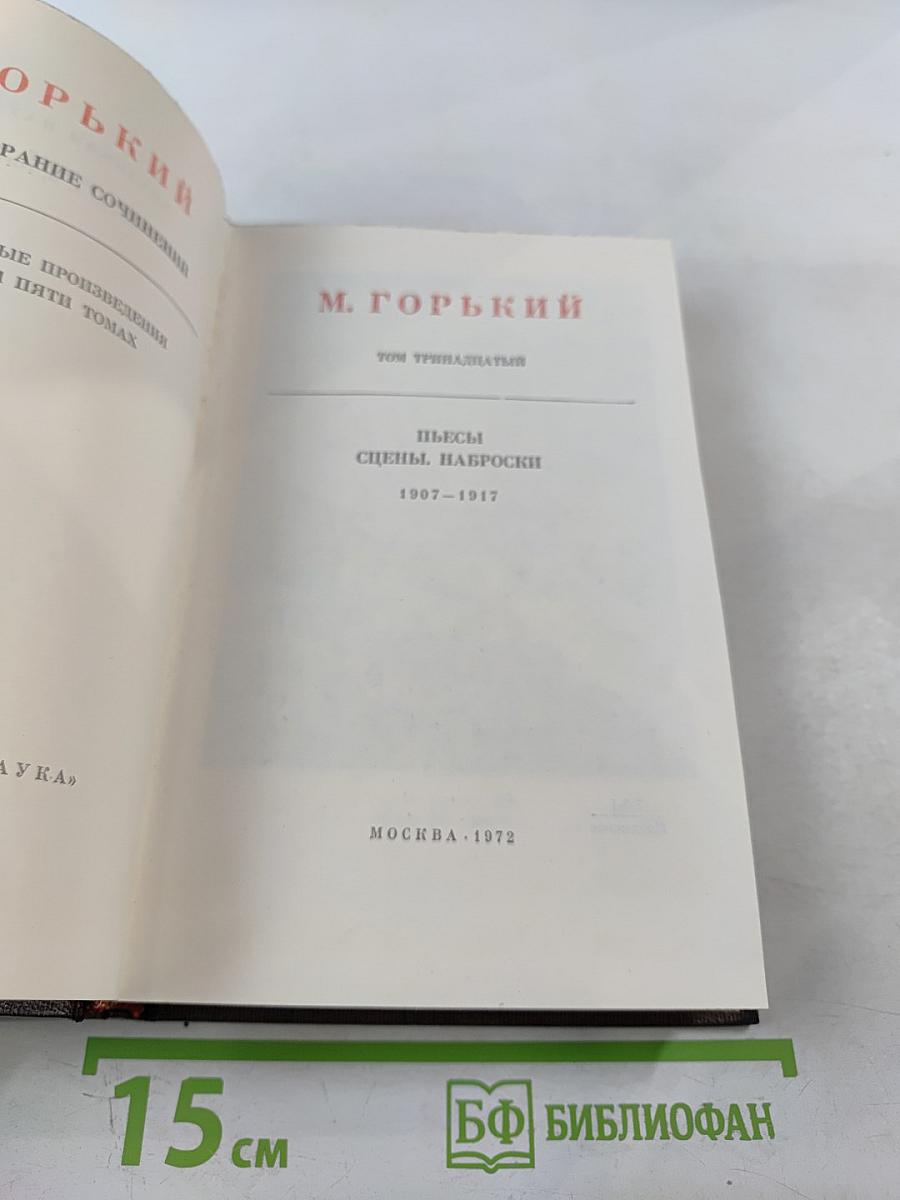 Пьесы, сцены, наброски. Том тринадцатый