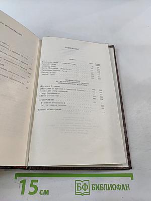 Пьесы, сцены, наброски. Том тринадцатый