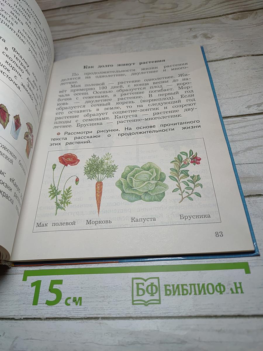 Окружающий мир 3 класс. Часть первая