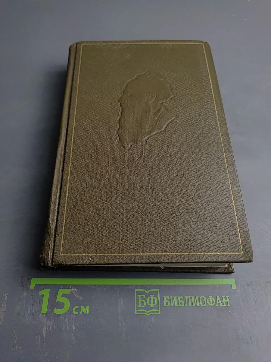 Дневники 1895-1910 гг.