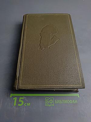 Дневники 1895-1910 гг.