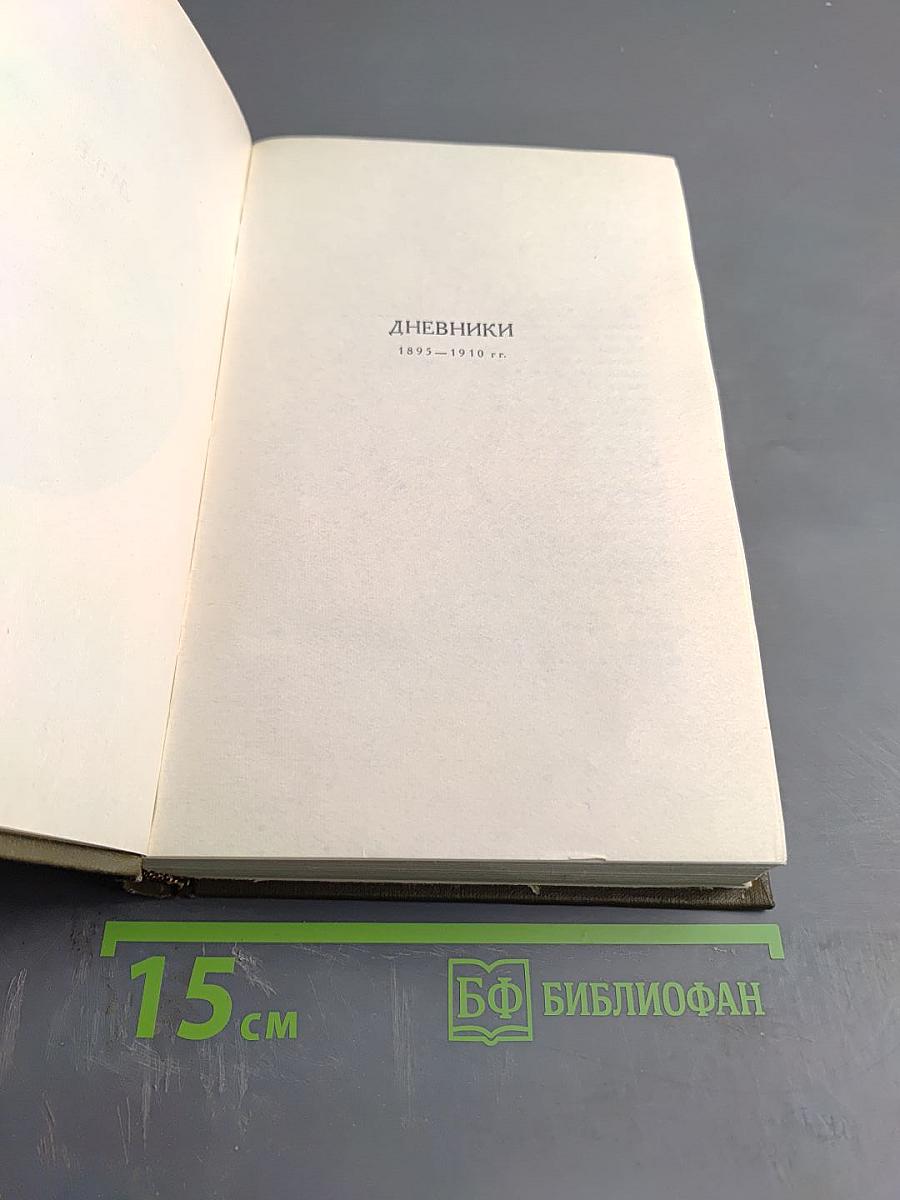 Дневники 1895-1910 гг.