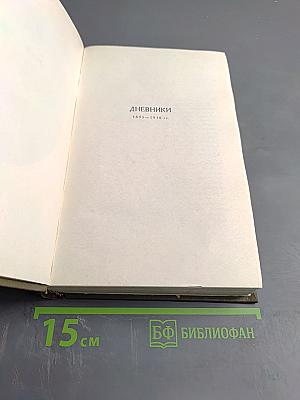 Дневники 1895-1910 гг.