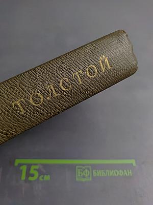 Дневники 1895-1910 гг.