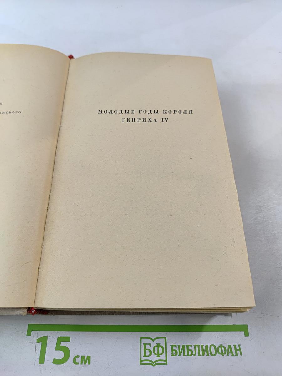 Сочинения. Том шестой. Молодые годы короля Генриха IV