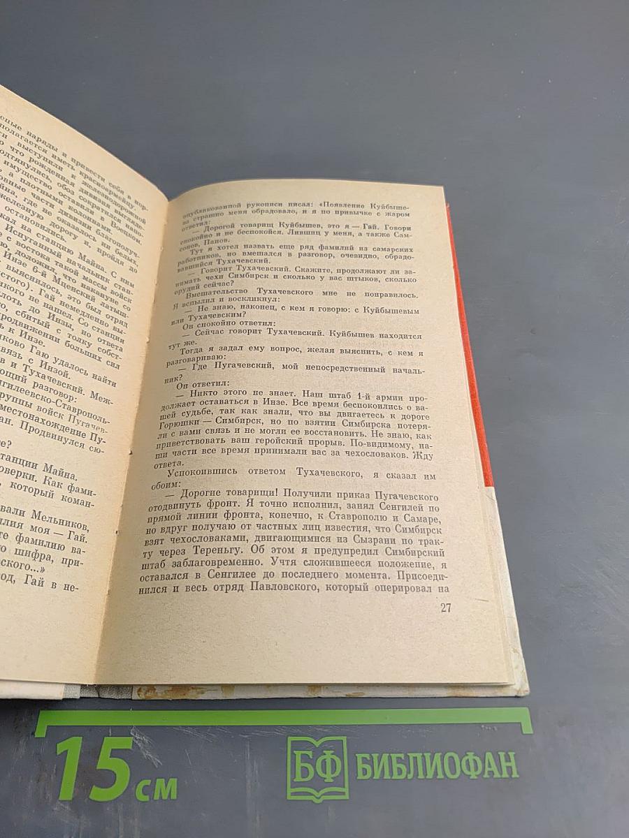 Железный Гай