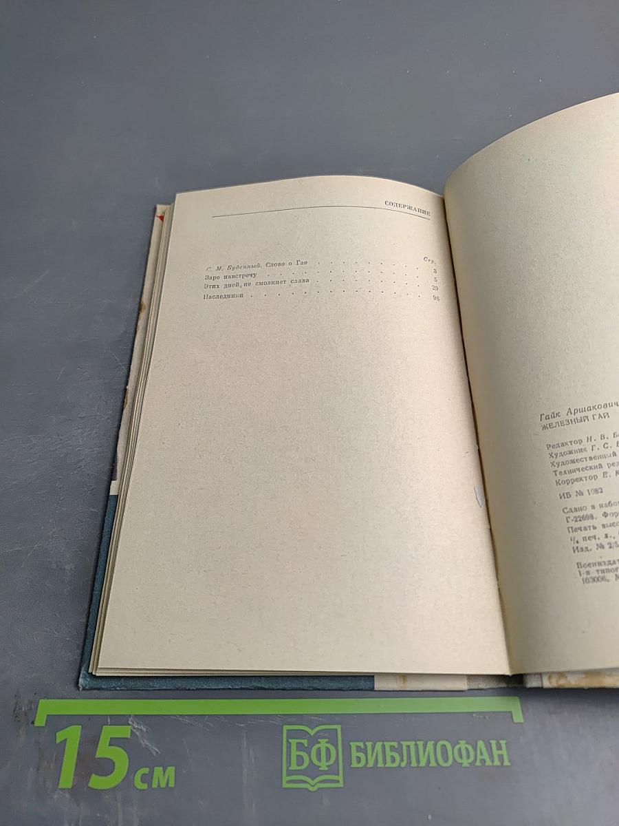 Железный Гай