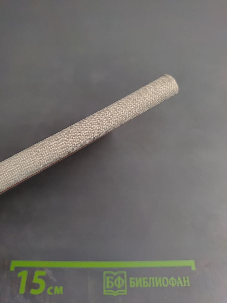 Железный Гай