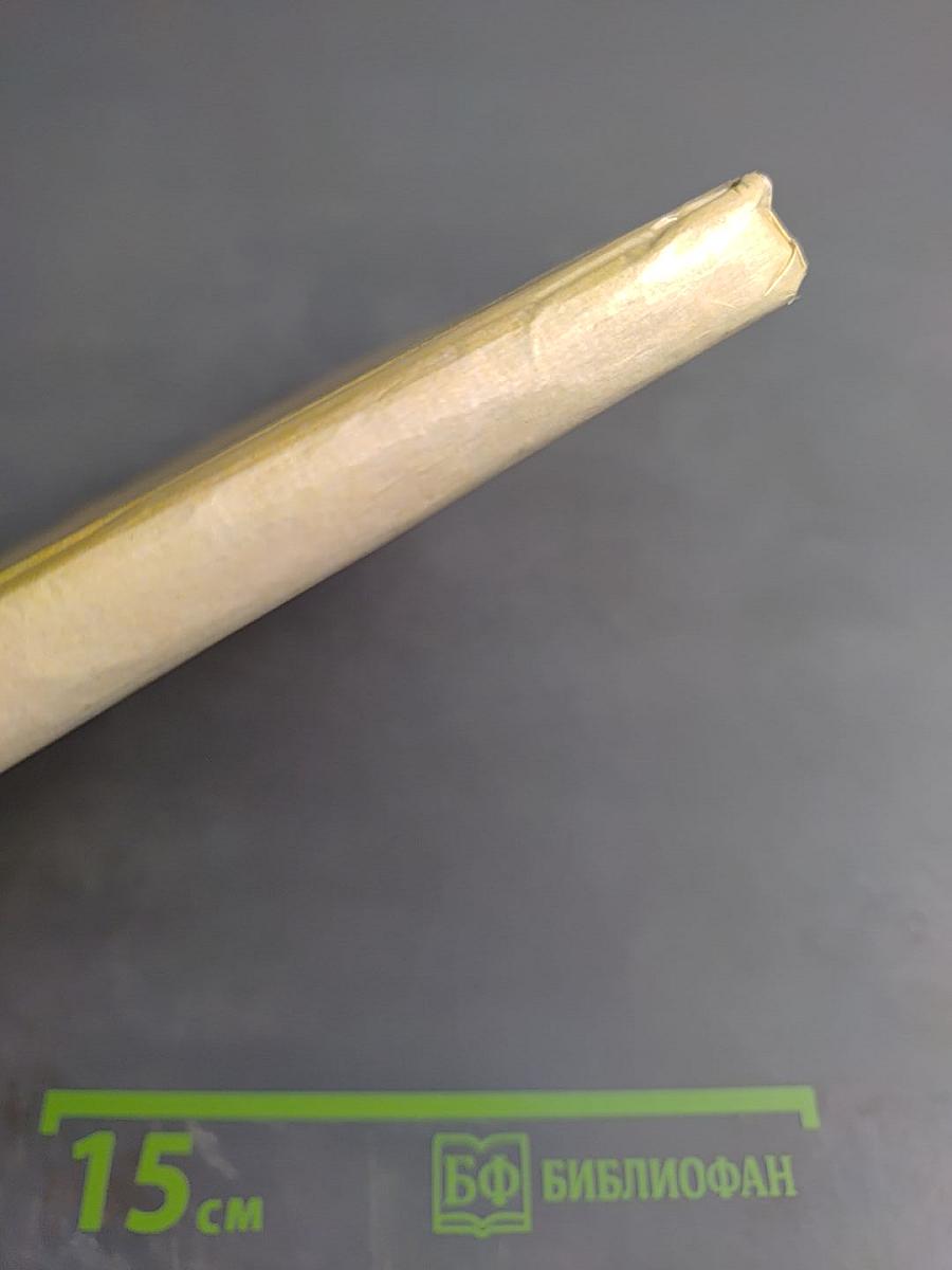 Путник вечности