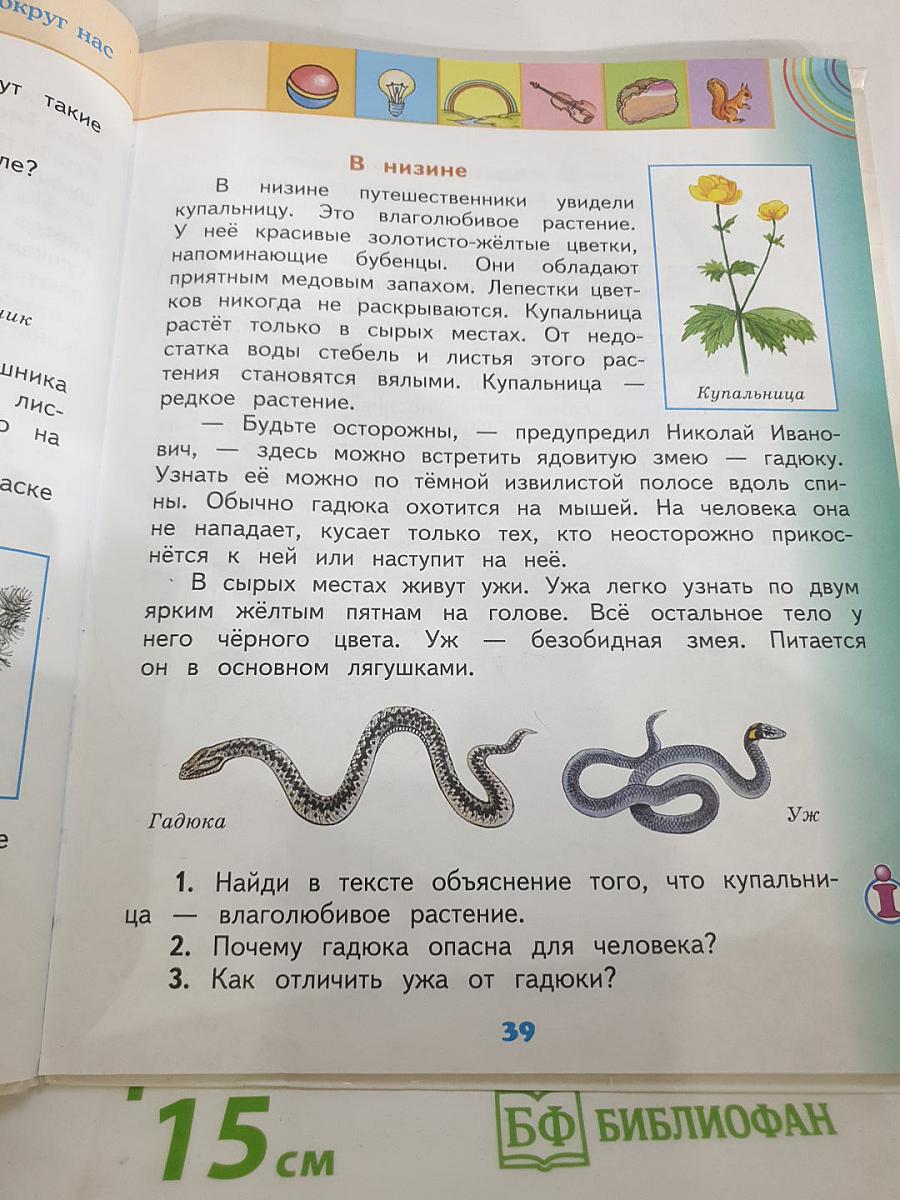 Окружающий мир 2 класс Часть 2