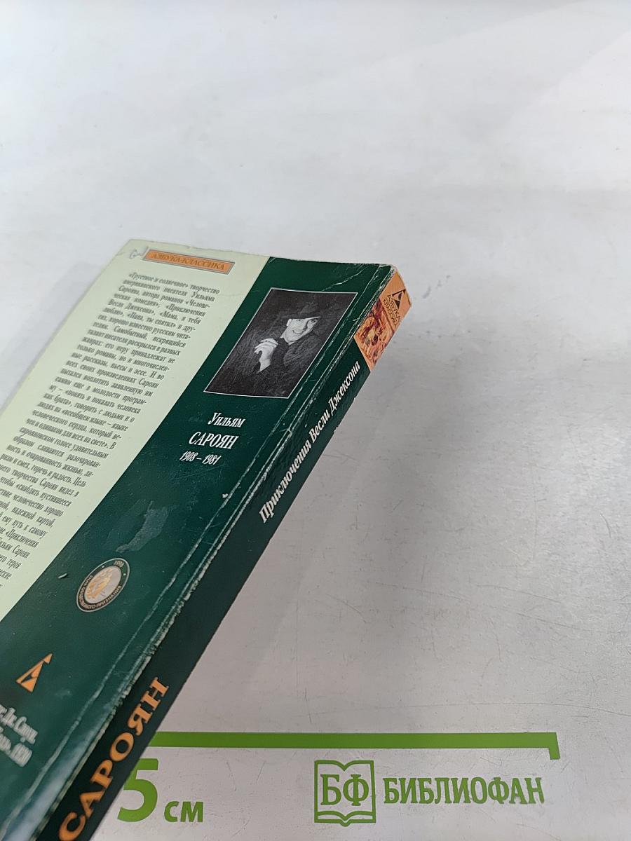 Приключения Весли Джексона