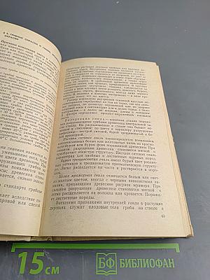 Материаловедение для столяров и плотников