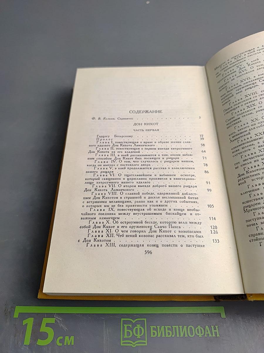 Дон Кихот Ламанчский. Том Первый