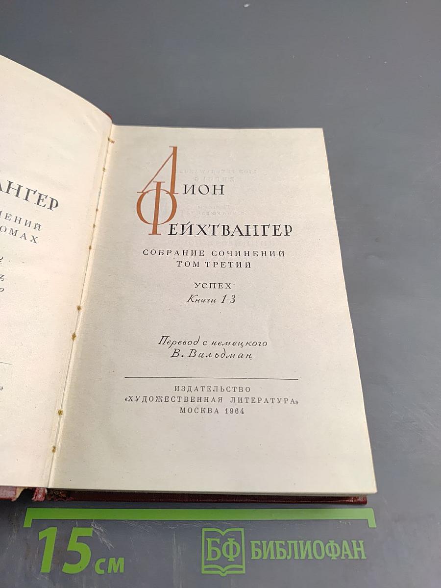 Успех. Три года из истории одной провинции. Книги 1-3. Том третий