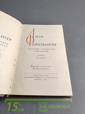 Успех. Три года из истории одной провинции. Книги 1-3. Том третий