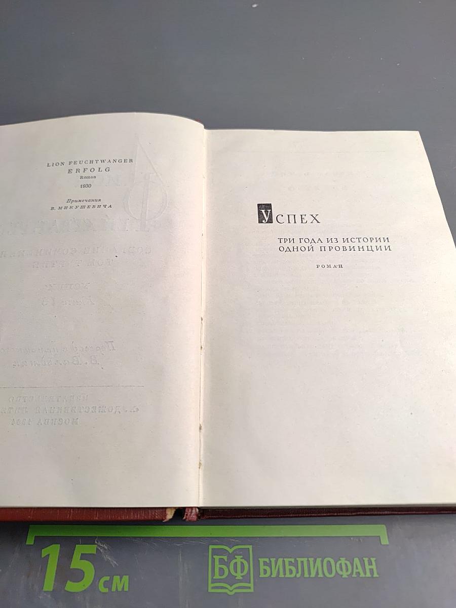 Успех. Три года из истории одной провинции. Книги 1-3. Том третий