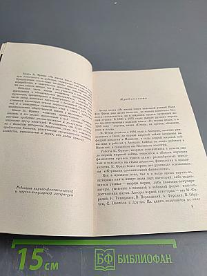 Из жизни пчёл