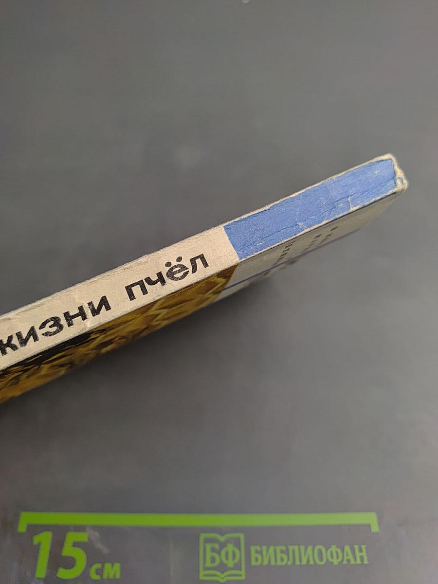 Из жизни пчёл