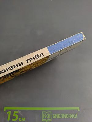 Из жизни пчёл