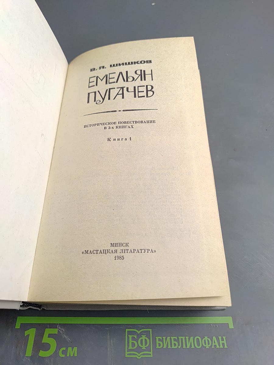 Емельян Пугачев, Книга 1