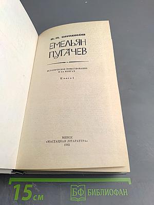 Емельян Пугачев, Книга 1