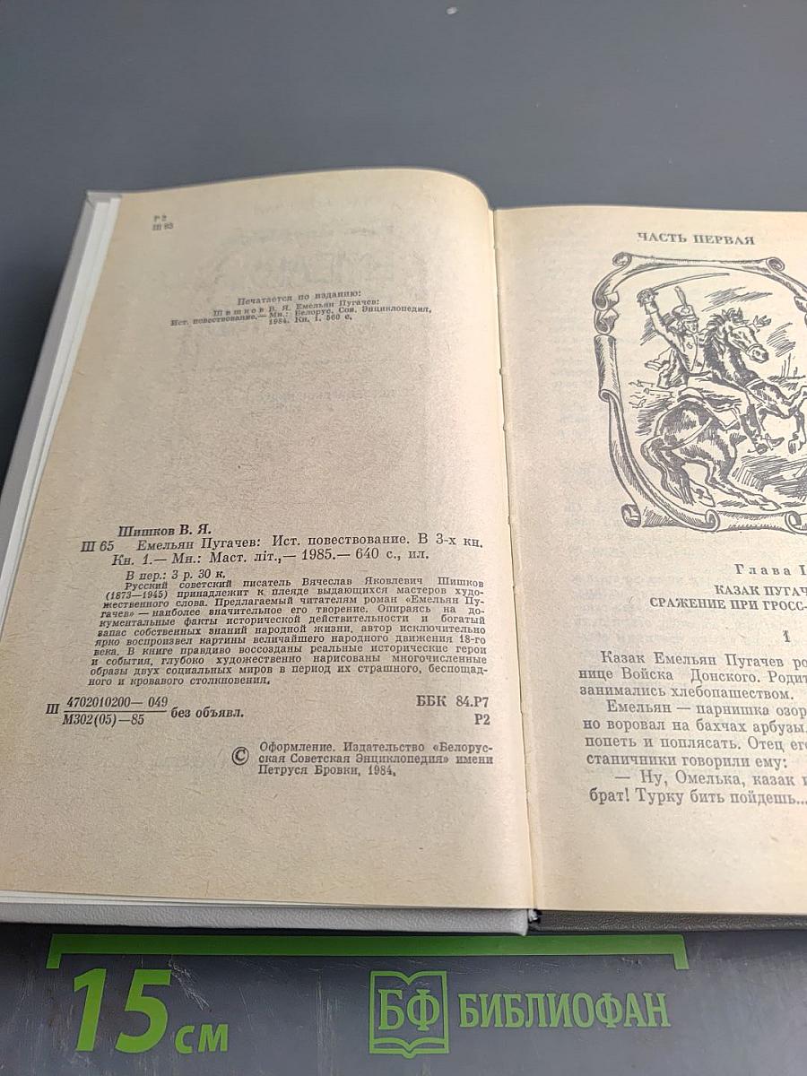 Емельян Пугачев, Книга 1