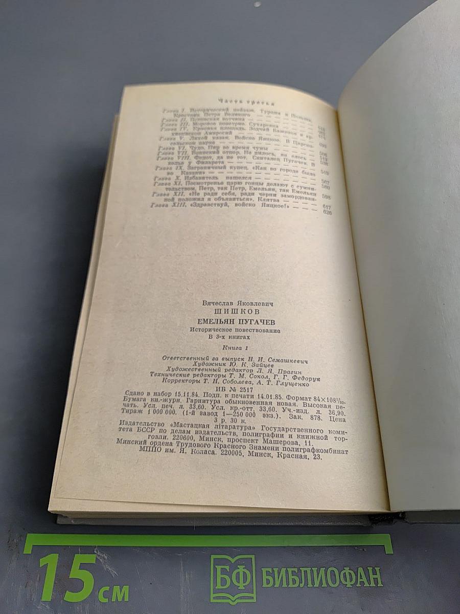 Емельян Пугачев, Книга 1