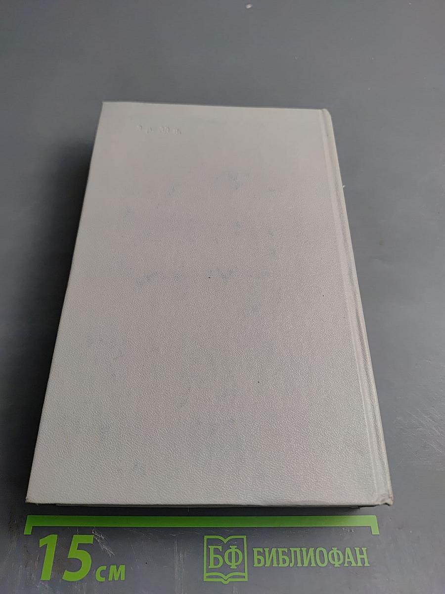 Емельян Пугачев, Книга 1