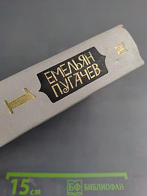 Емельян Пугачев, Книга 1