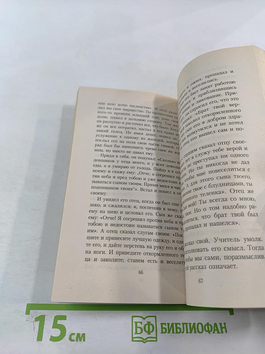 Сын Пантеры