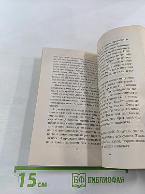 Сын Пантеры