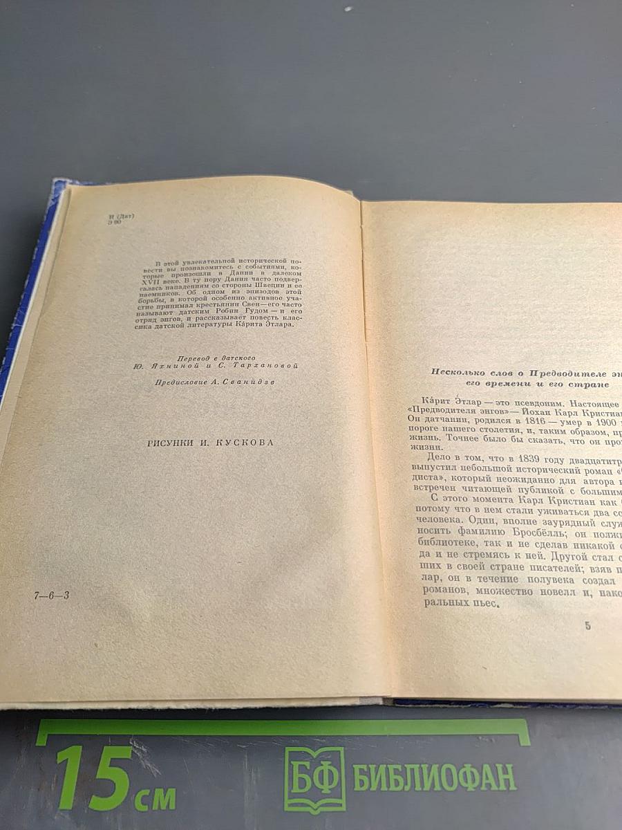 Предводитель энгов