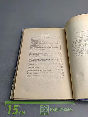 Предводитель энгов