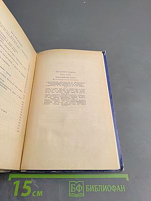 Предводитель энгов