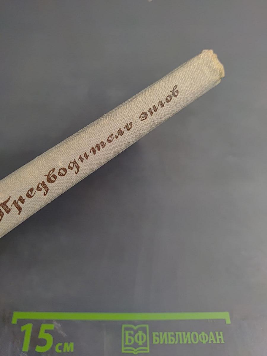 Предводитель энгов